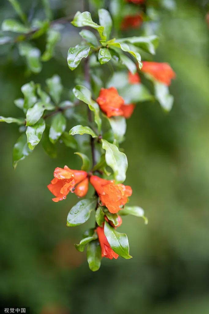 亚投娱乐(中国区)官方网站入口